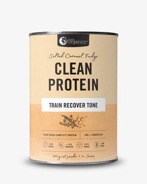 Clean Protein Salted Caramel Fudge by NutraOrganics